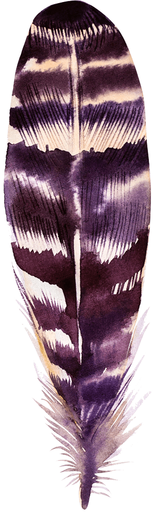 Falling feather 2