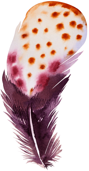 Falling feather 3