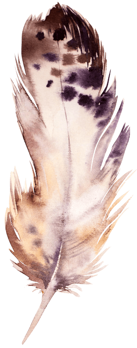 Falling feather 4